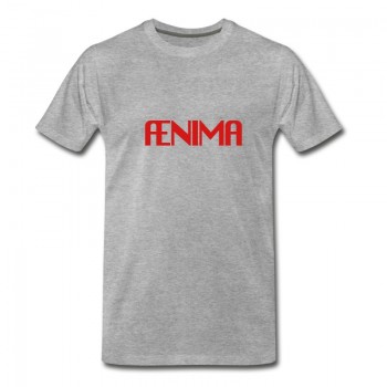 Youth Anima Aenima Ænima Seele T-Shirt - Grey