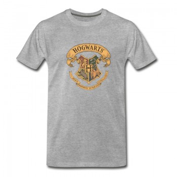 Youth Harry Potter Hogwarts Coat of Arms T-Shirt - Grey